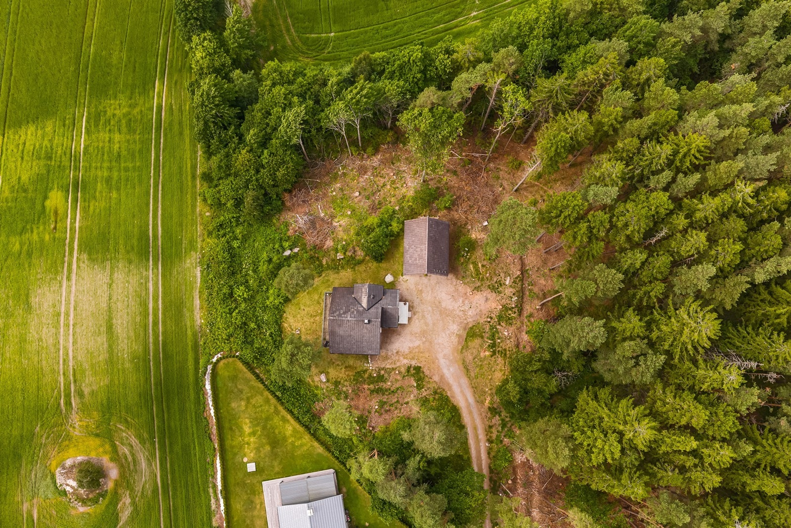 Den store naturtomten grenser direkte mot skog og mark. Galleribilde