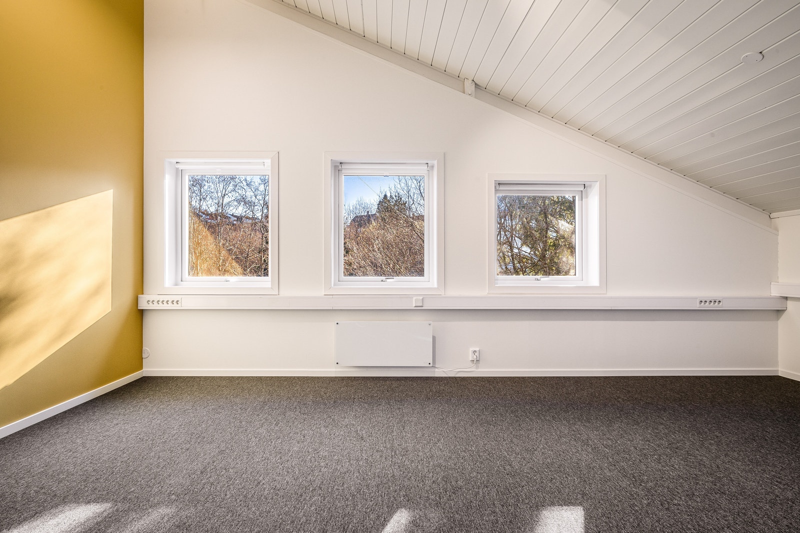 Kontor som kan leies i kontorfellesskap, her med samme farge på kontrastveggen, som ute i fellesareal Galleribilde