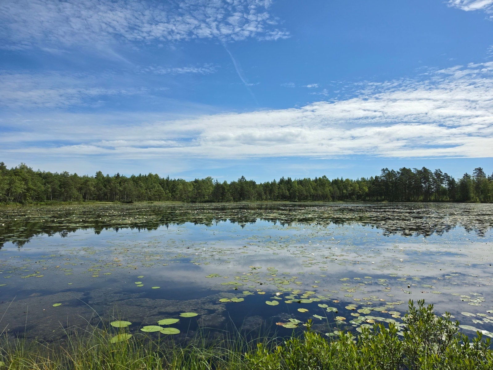Utsikt utover nærliggende områder, (selgers bilder) Galleribilde