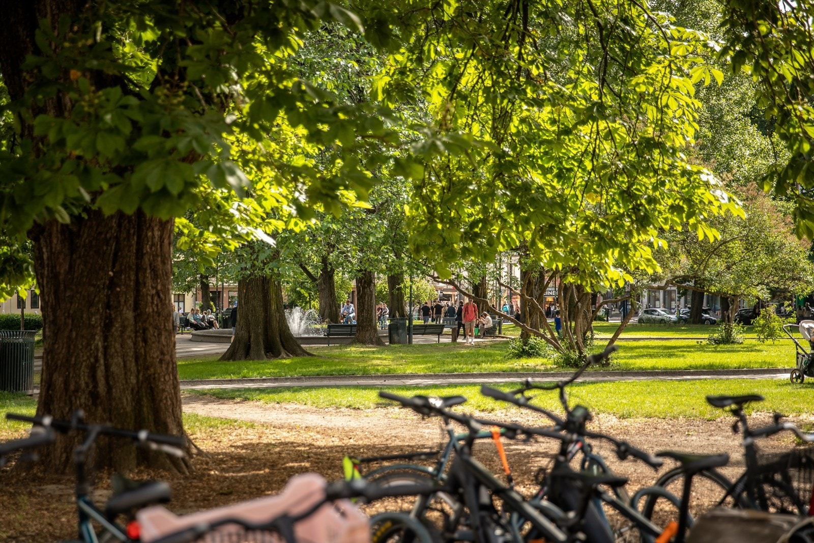 Kort vei til grønne lunger som Sofienbergparken for rekreasjon og folkeliv. Galleribilde