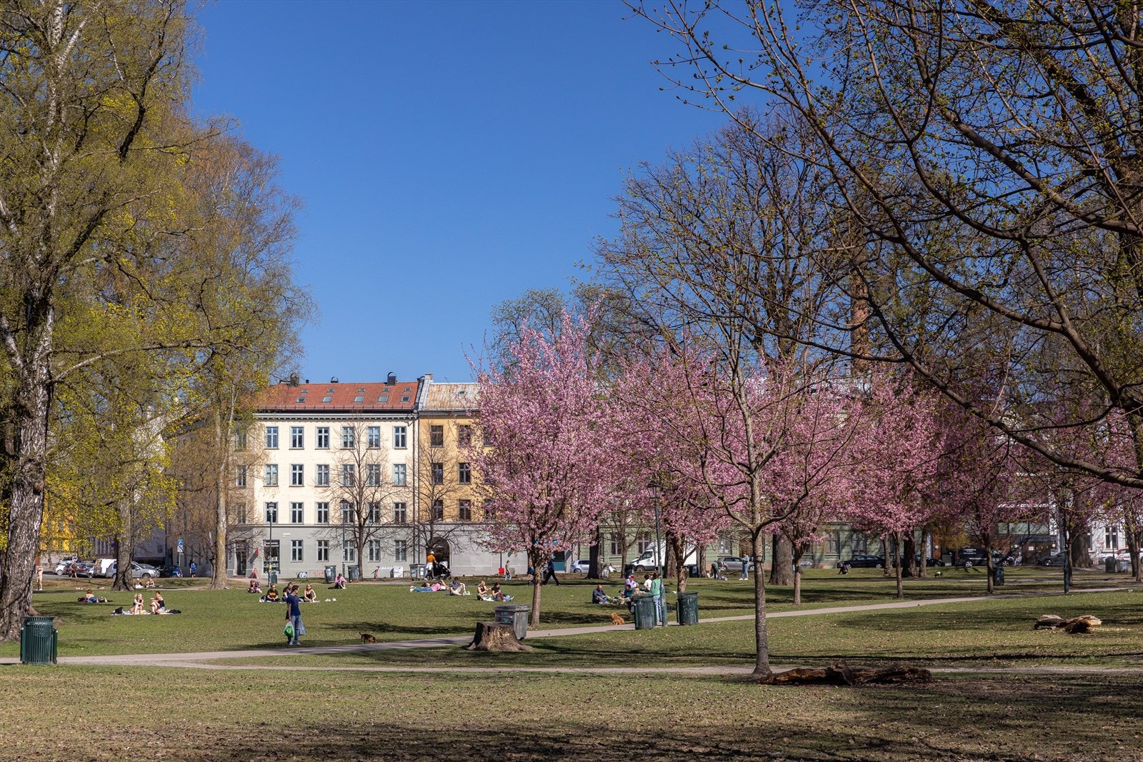 På Birkelunden, en kort spasertur unna, arrangeres det ofte markeder. Galleribilde
