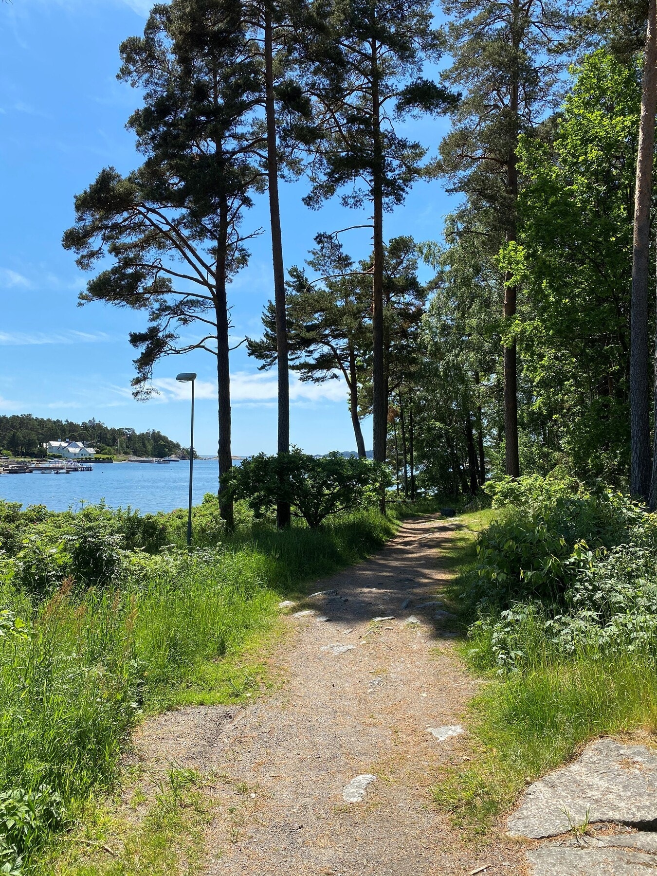 På Korsvik har man strender og fine fiske-og bademuligheter fra brygge Galleribilde