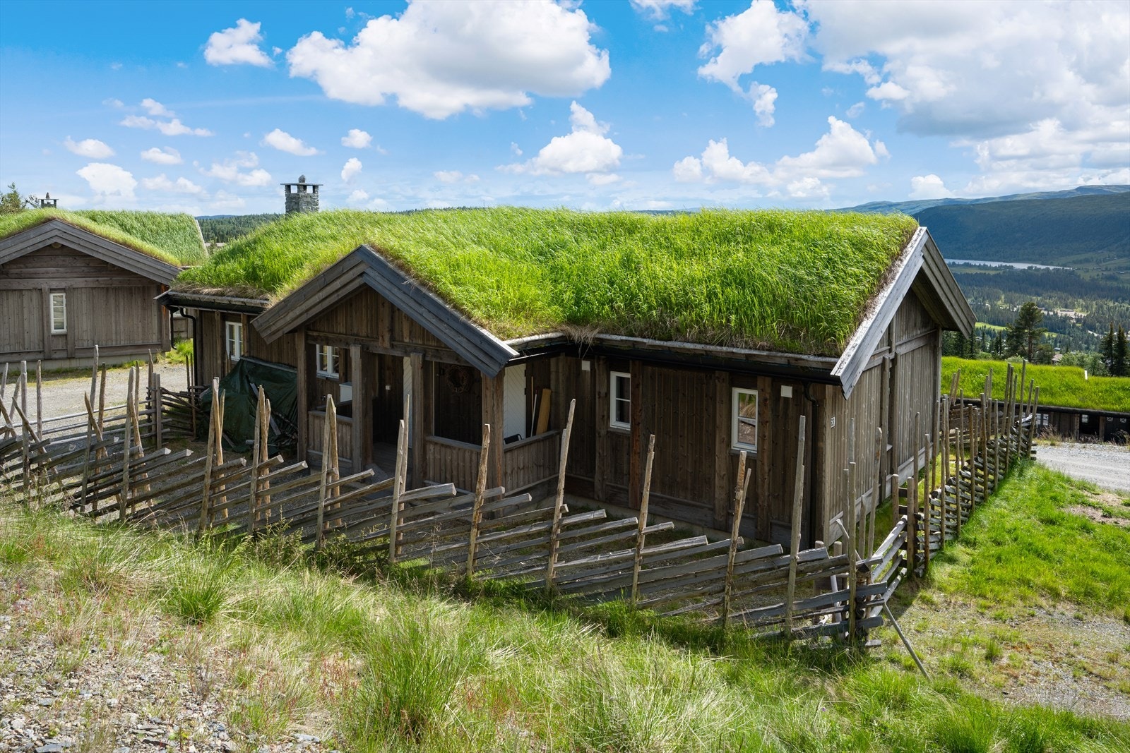 Velkommen til visning! Galleribilde