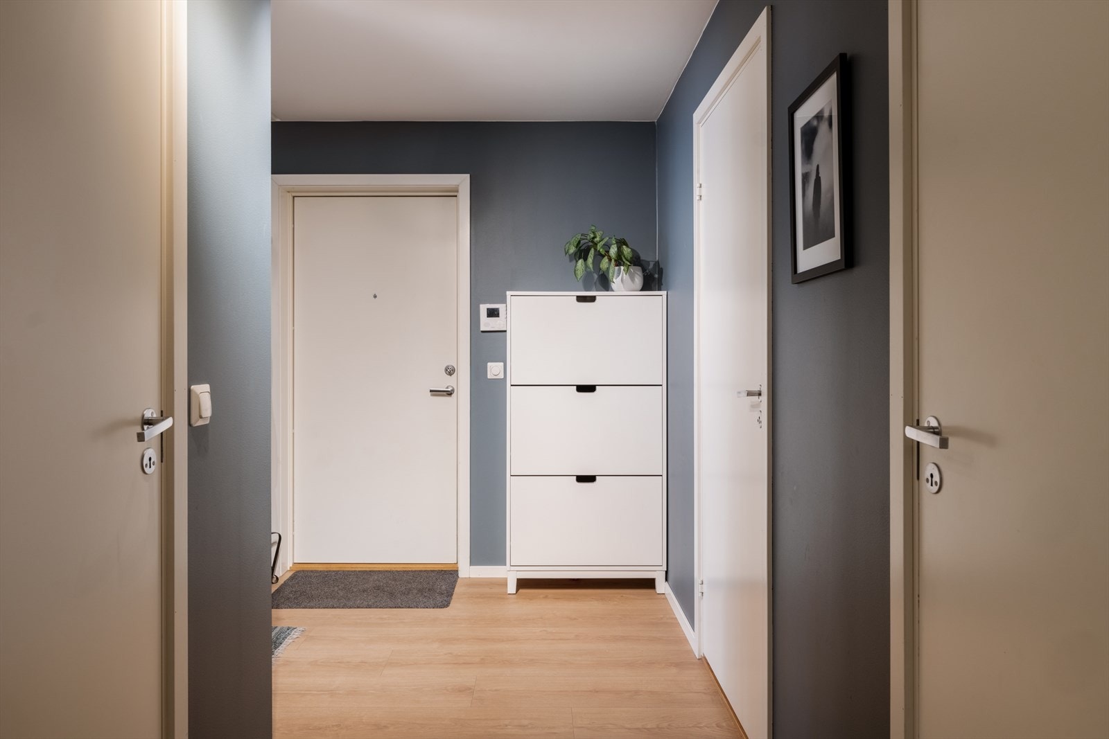 Velkommen hjem! Ses vi på visning? Galleribilde