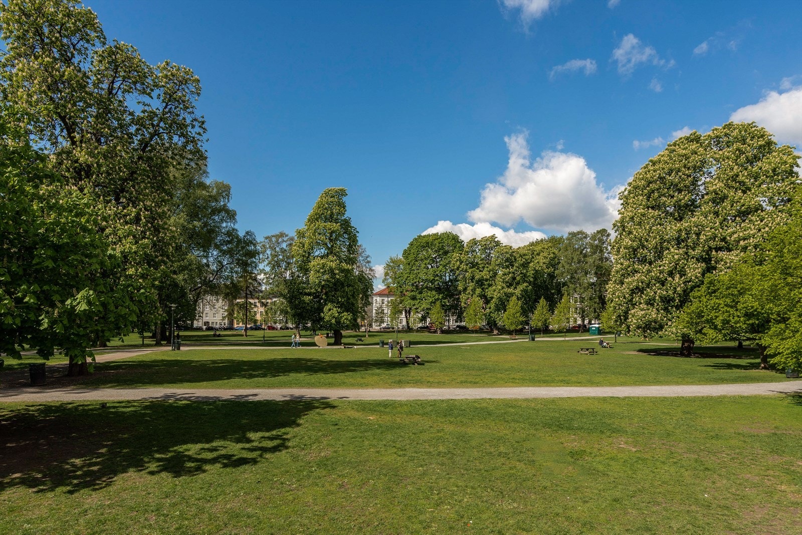Sofienbergparken er et grønt og attraktivt rekreasjonsområde like i nærheten av leiligheten. Galleribilde