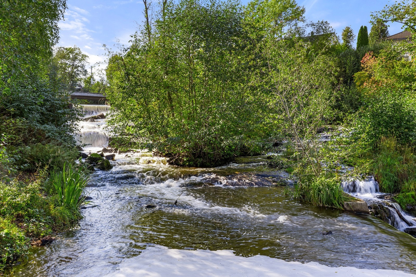 Nærområdet byr på fine turmuligheter, blant annet langs Sagelva som renner like ved. Galleribilde