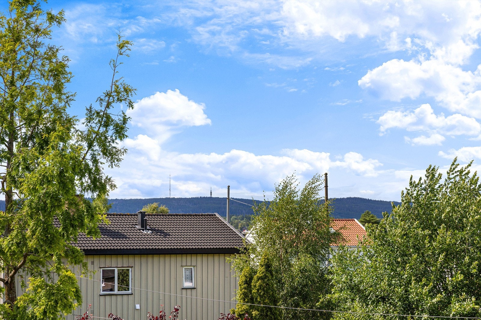 Utsikt Galleribilde