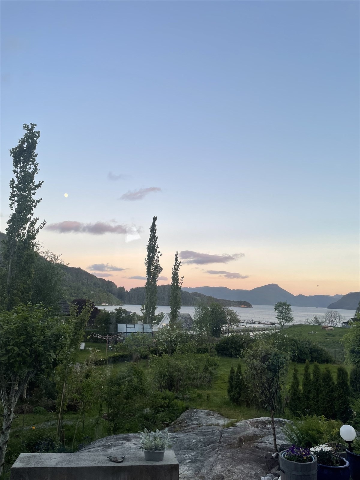 Bilder fra selger Galleribilde
