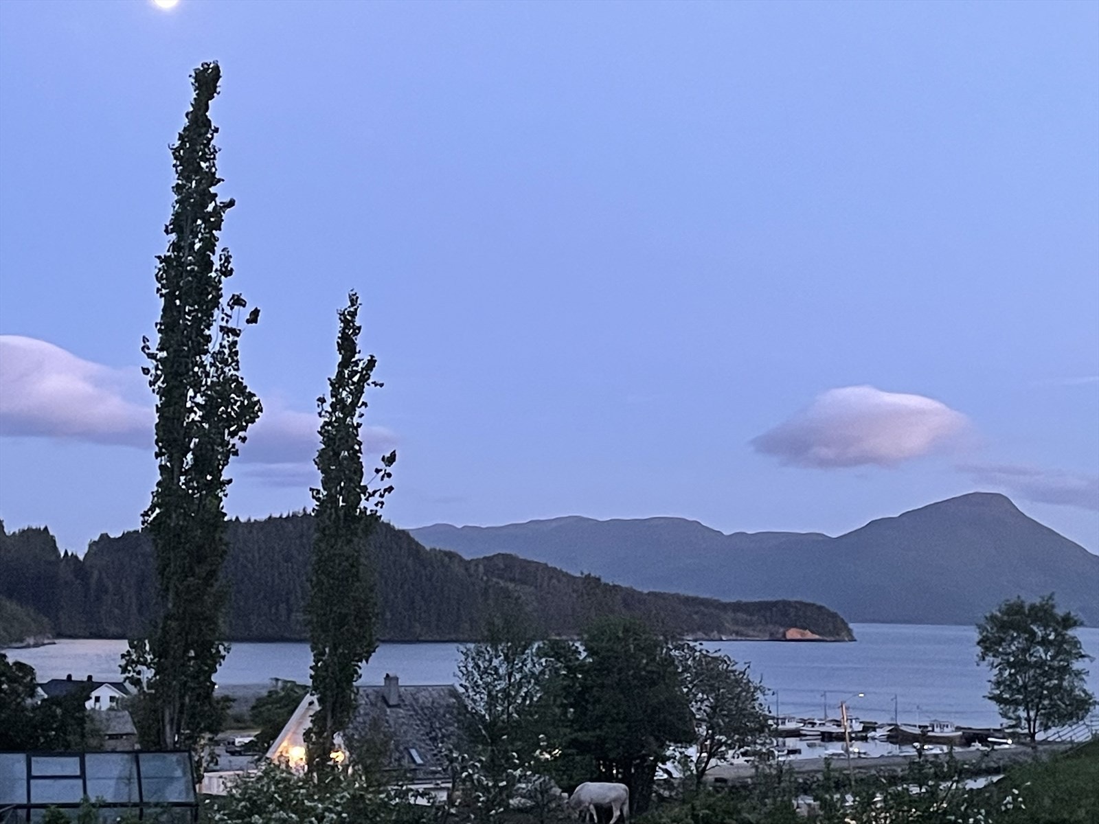 Bilder fra selger Galleribilde