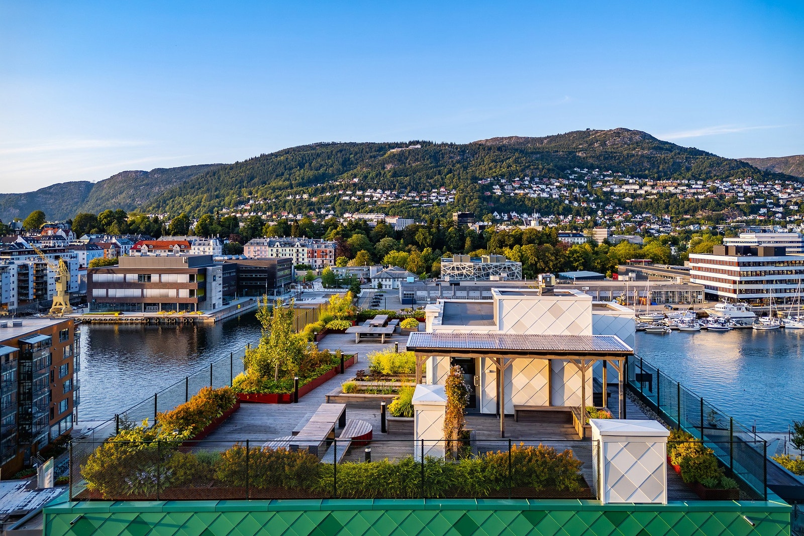 Damsgård er kjent for sin sentrale beliggenhet med nærhet til sjøen, kombinert med byliv og rolige omgivelser. Galleribilde