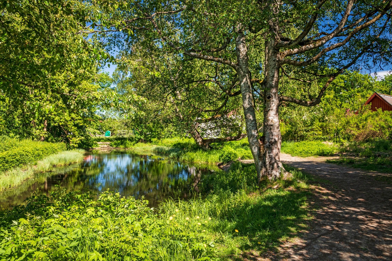 Det er en fredet salamanderdam langs turstien som grenser til eiendommen. Galleribilde