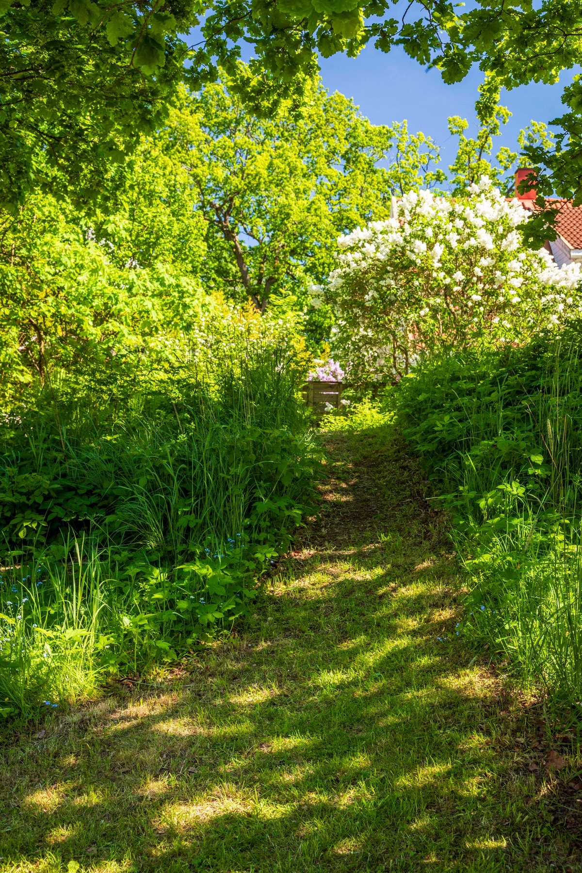 Grønn oase. Galleribilde