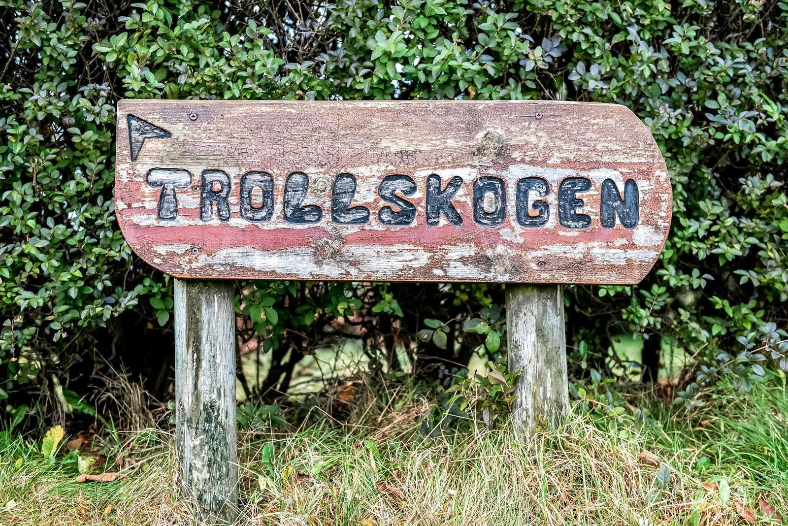 Velkommen til visning! Galleribilde