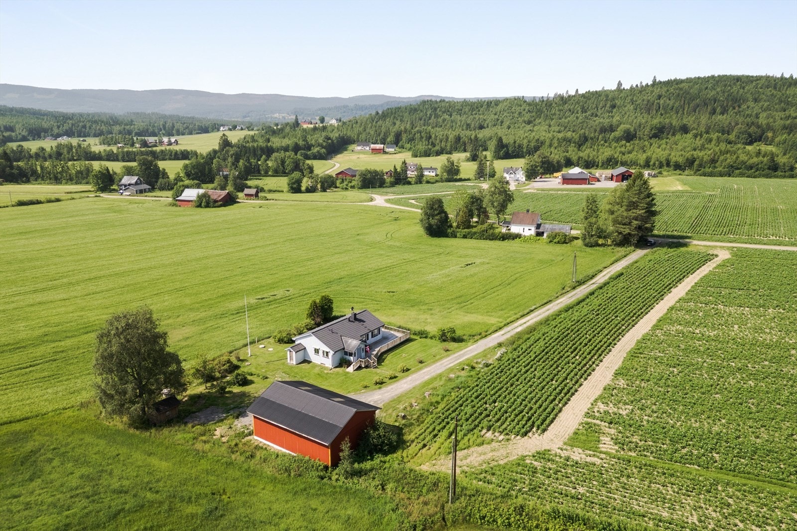 Er du glad i natur og friluft har du et eldorado av muligheter i nærområdet. Galleribilde