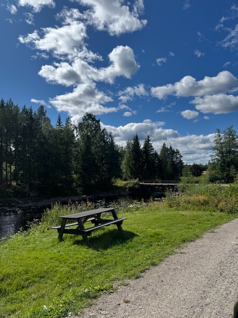 Selgers bilde. Galleribilde