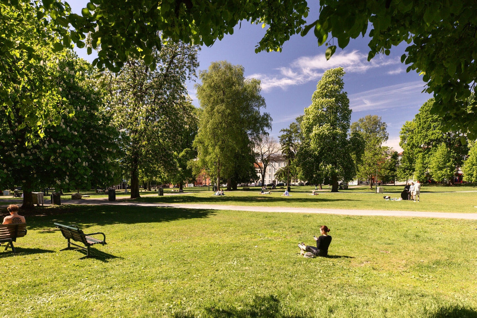 Sofienbergparken Galleribilde