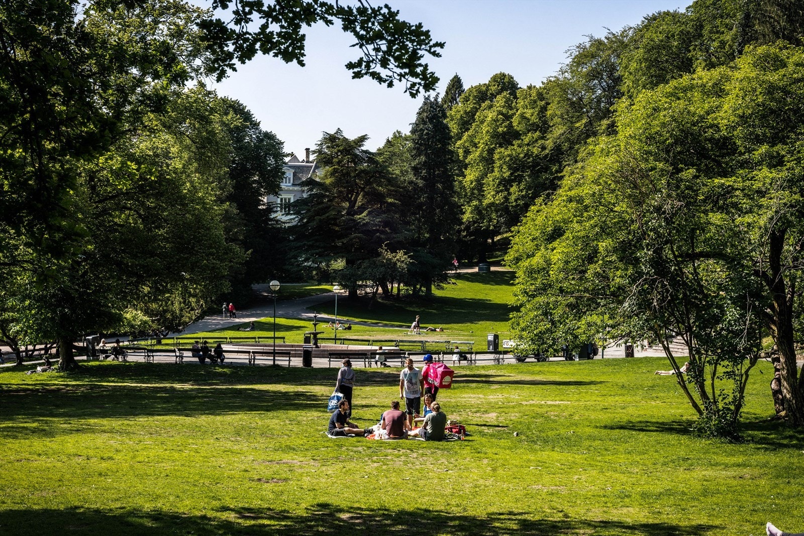 - I gangavstand fra boligen finner man blant annet Nygårdsparken, en park som har vokst frem i popularitet over årene, spesielt på sommerstid - Galleribilde