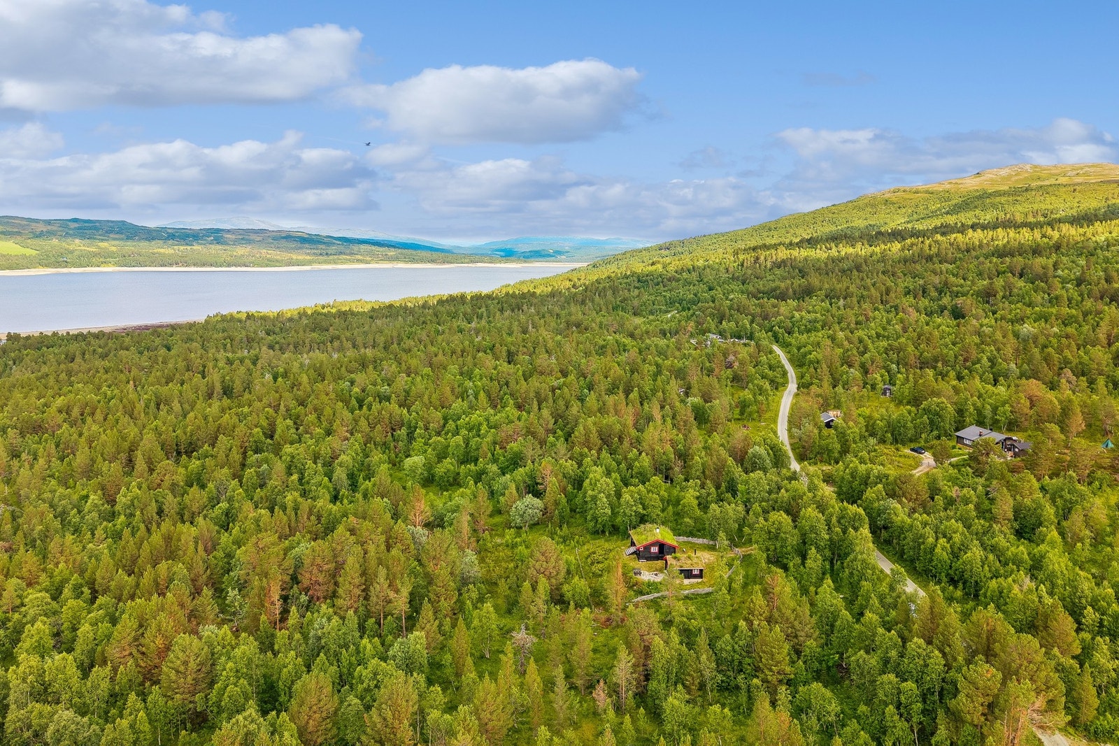 Flott nærområdet. Galleribilde