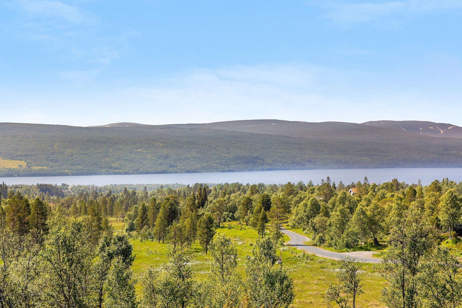 Flott utsikt Galleribilde