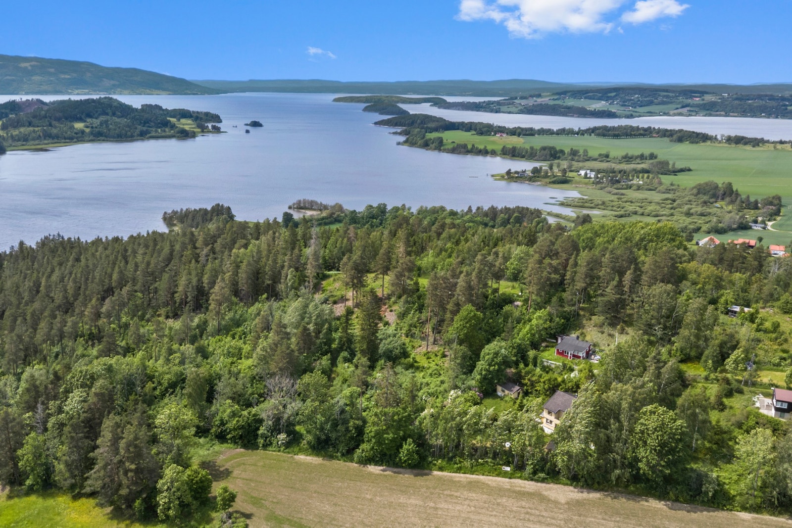 Nærområde Galleribilde
