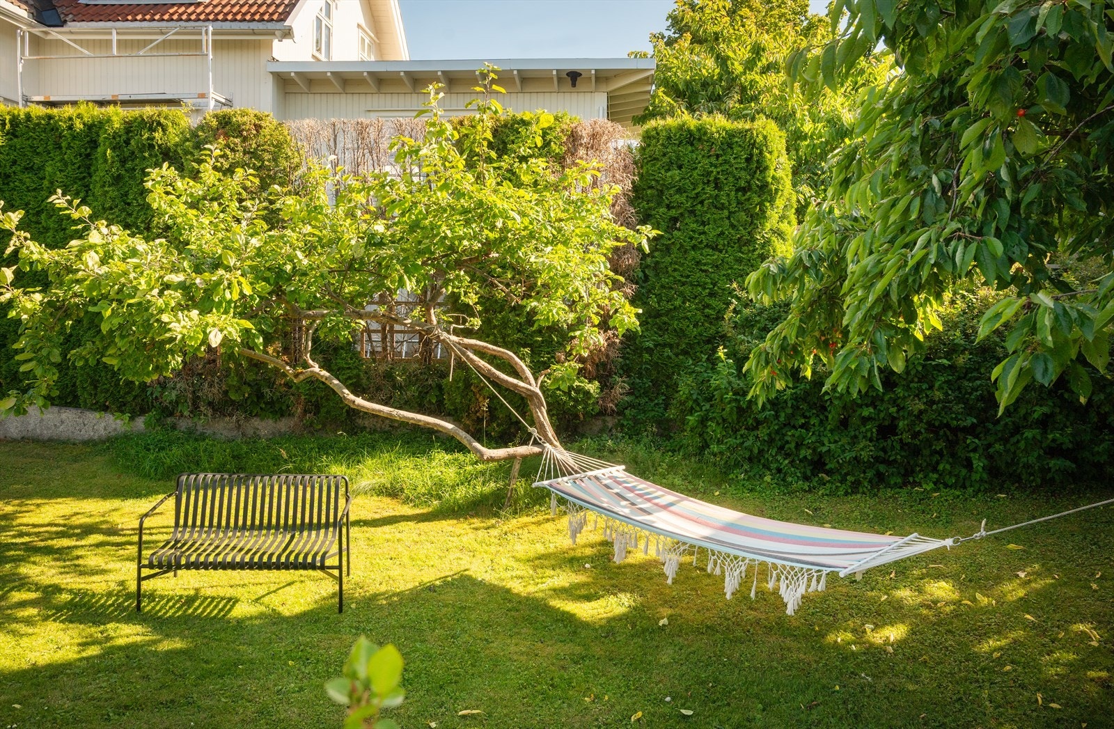 En frodig og usjenert hage med plass til lek og avslapning. Galleribilde