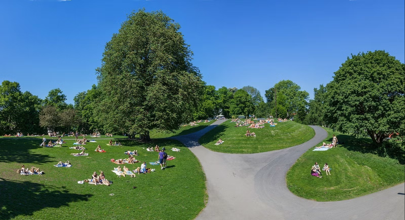 Leiligheten ligger midt mellom Bislett, Fagerborg og Majorstuen med flere grønne perler i umiddelbar nærhet. Perfekt for løpetur om man ikke spaserer til SATS Galleribilde