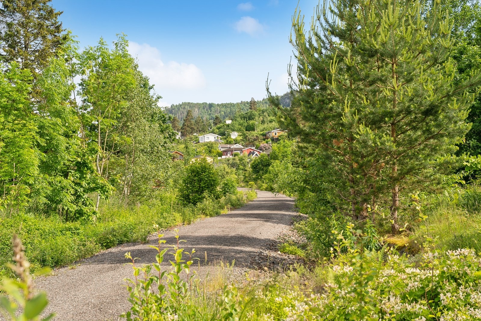 Fra hytten har du fine turmuligheter langs den gamle toglinjen, hvor det nå er etablert en hyggelig gang og sykkelvei. Stien følger vannkanten hele veien inn til Holmestrand og byr på en vakker rute for både gåturer, joggeturer og sykkelturer. Galleribilde