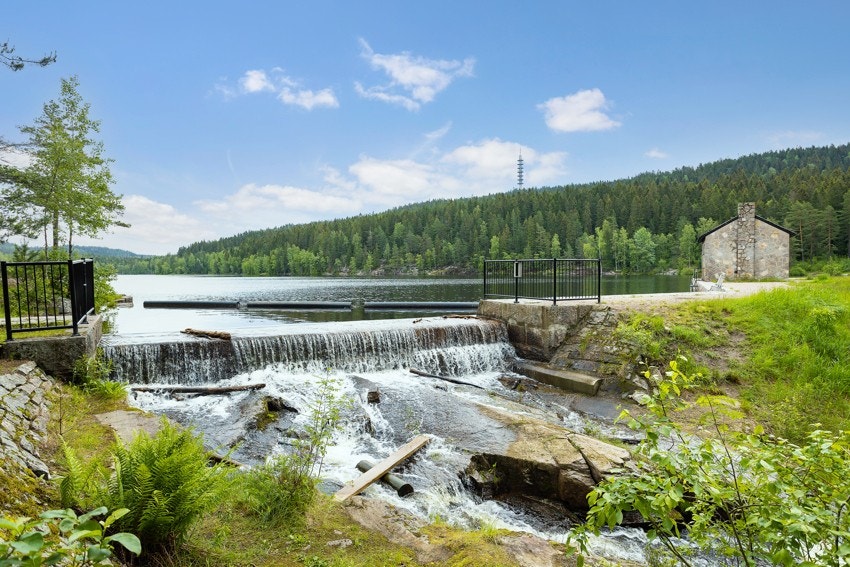 I Lillomarka finnes Steinbruvann som er et flott badevann i naturskjønne omgivelser. Galleribilde