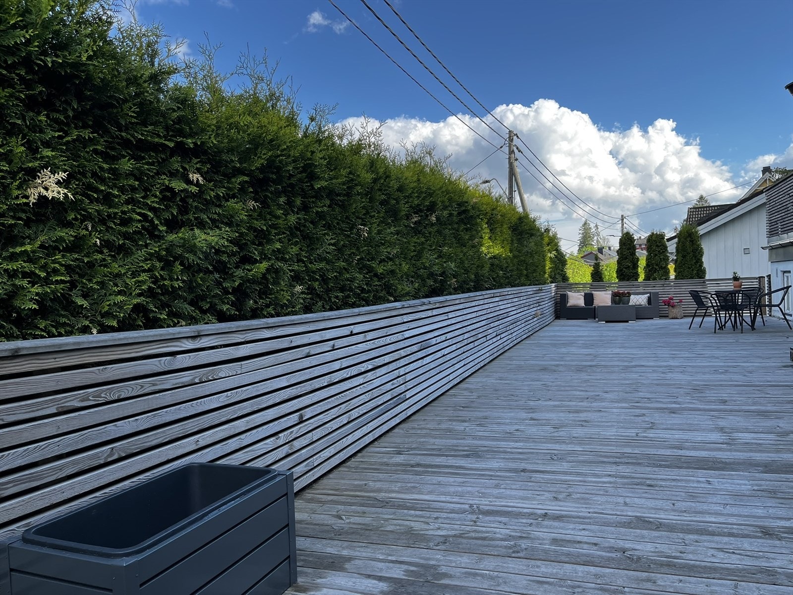 Selgers bilde. Galleribilde