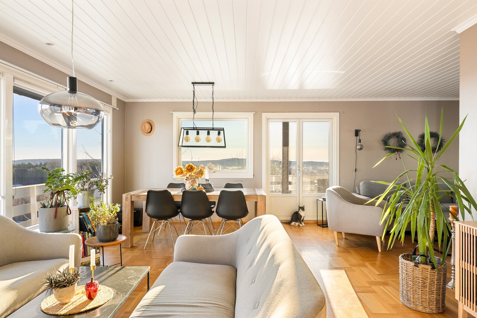 Vinduer i alle yttervegger slipper solen inn til stuen dagen gjennom. Galleribilde