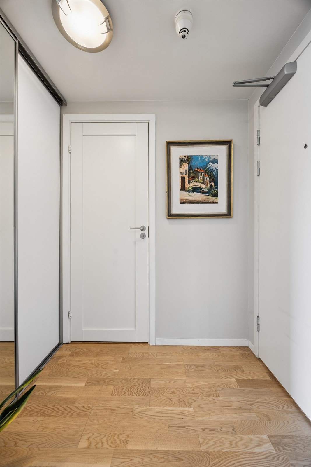 Leiligheten har heisadkomst og en beliggenhet som er både sentral og tilbaketrukket. Galleribilde