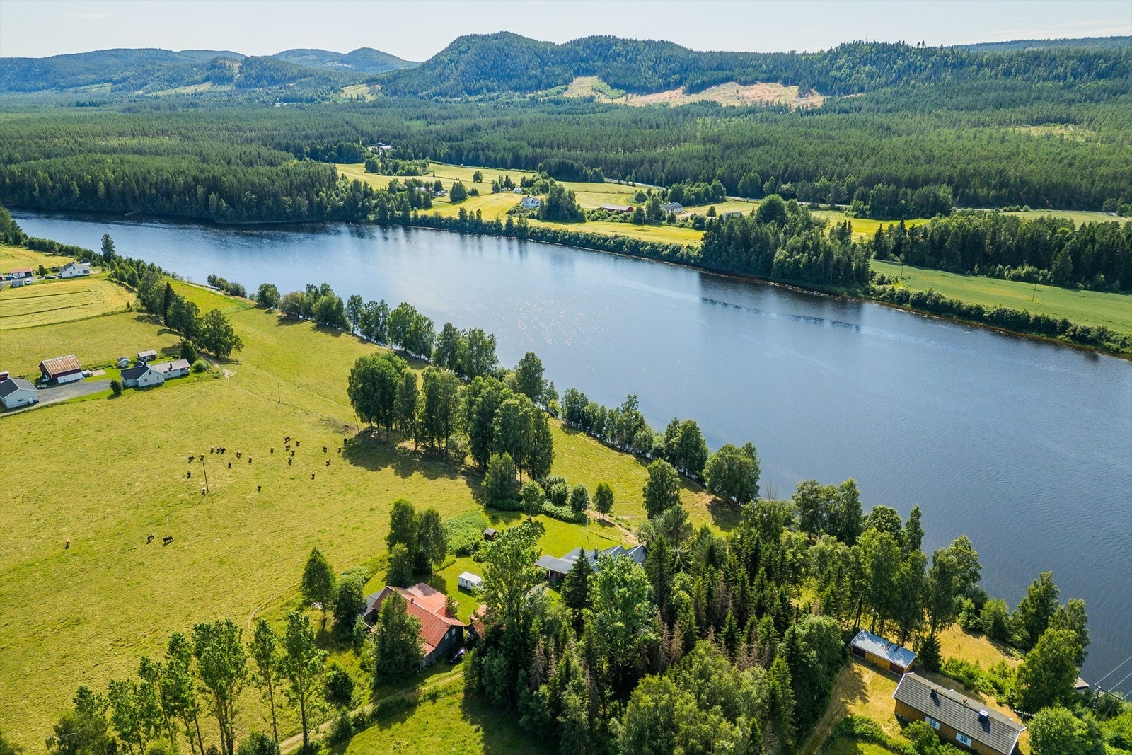 Det er ca. 9 km til barneskolen på Lillemoen samt ca. 16,5 km til Elverum sentrum med ungdomsskole, videregående skole, byfasiliteter, kjøpesentre, sjukehus, kino og alle øvrige servicetilbud. Galleribilde