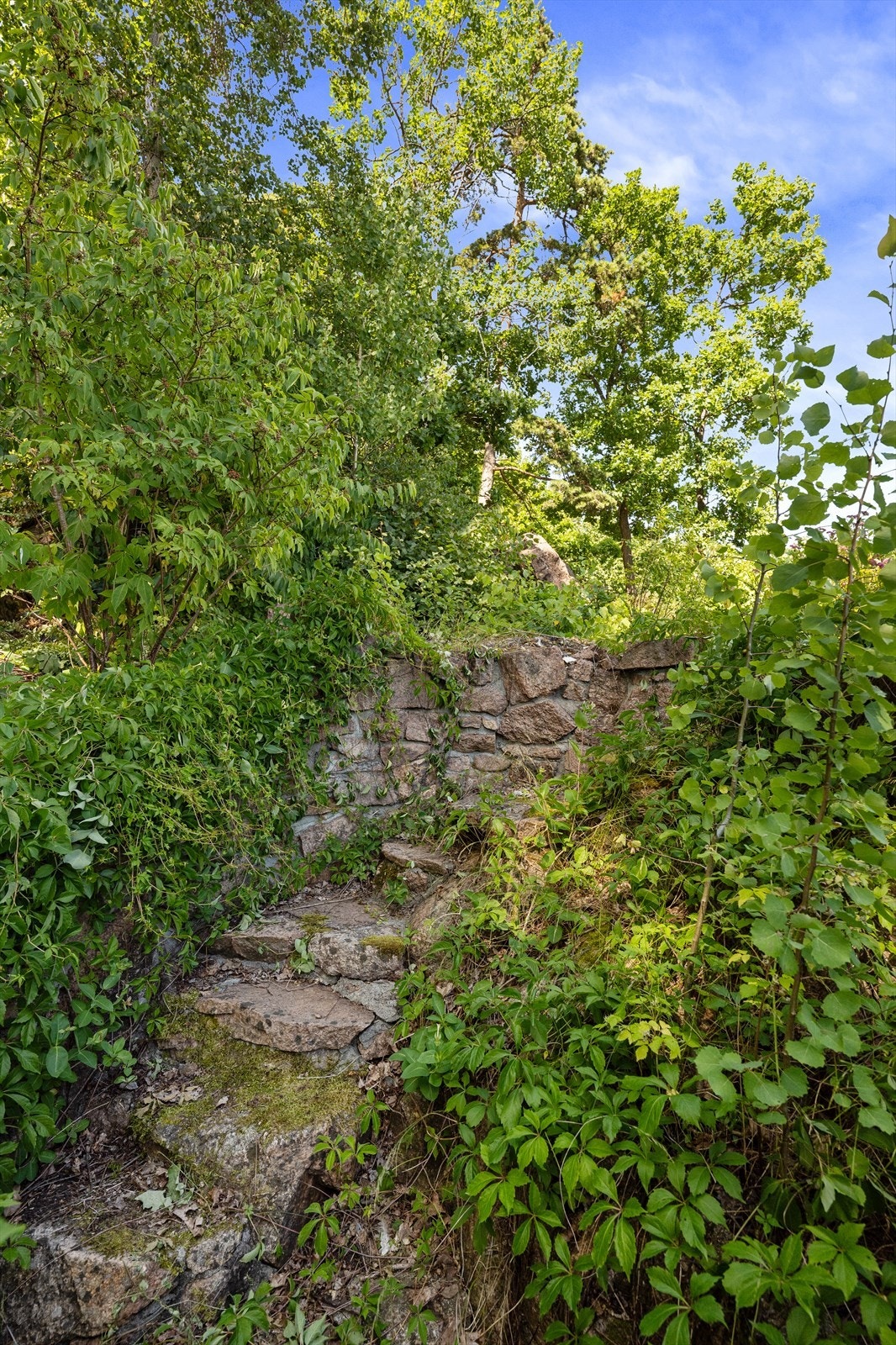 Eiendommen har en opparbeidet hage og dels naturtomt. Galleribilde