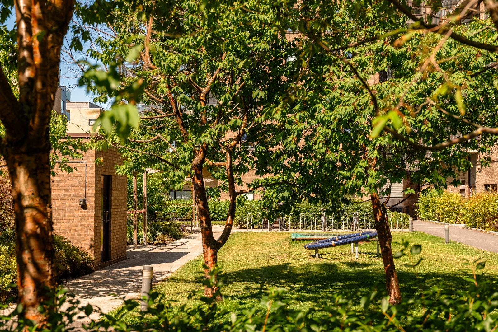 Sameiet har en av de flotteste bakgården på Løren. Galleribilde