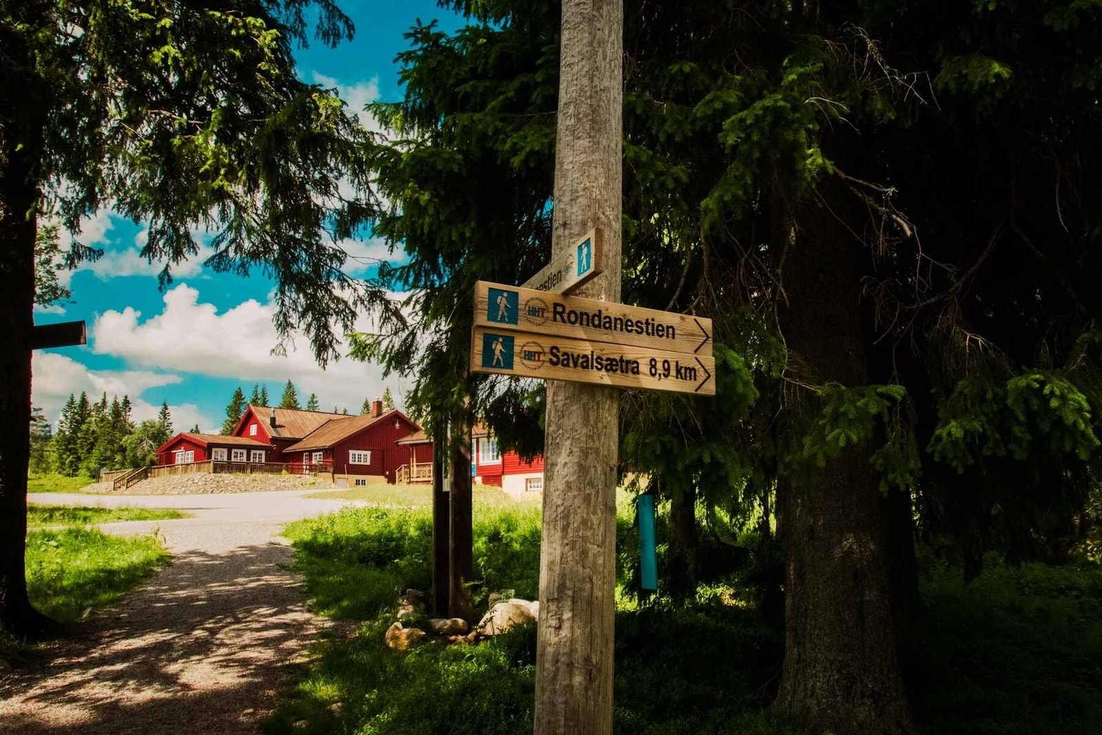 Området har flere merkede turstier Galleribilde