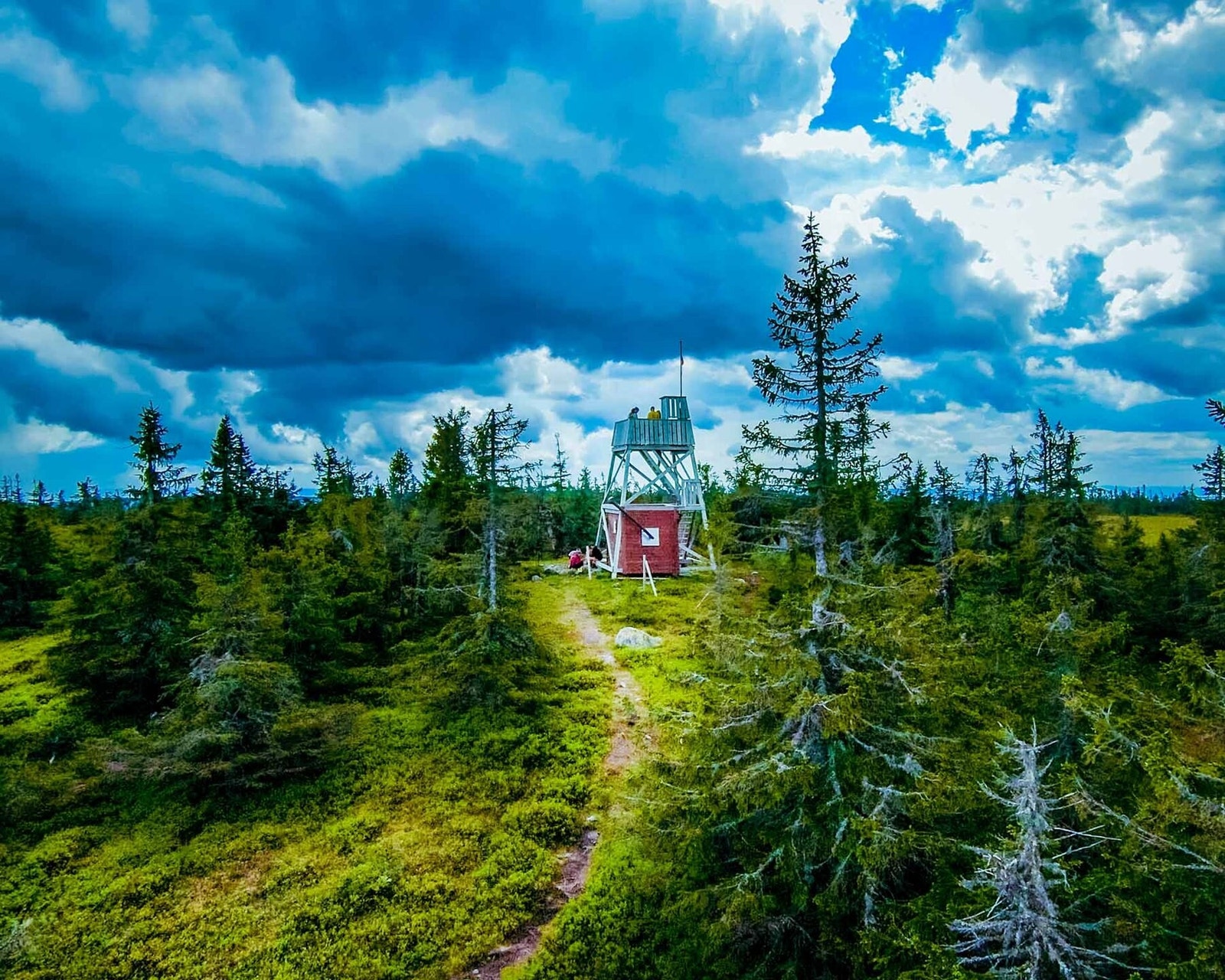 Gitvola (også kalt Gjetholen) er Løtens høyeste topp på 852 meter over havet - et flott turmål Galleribilde