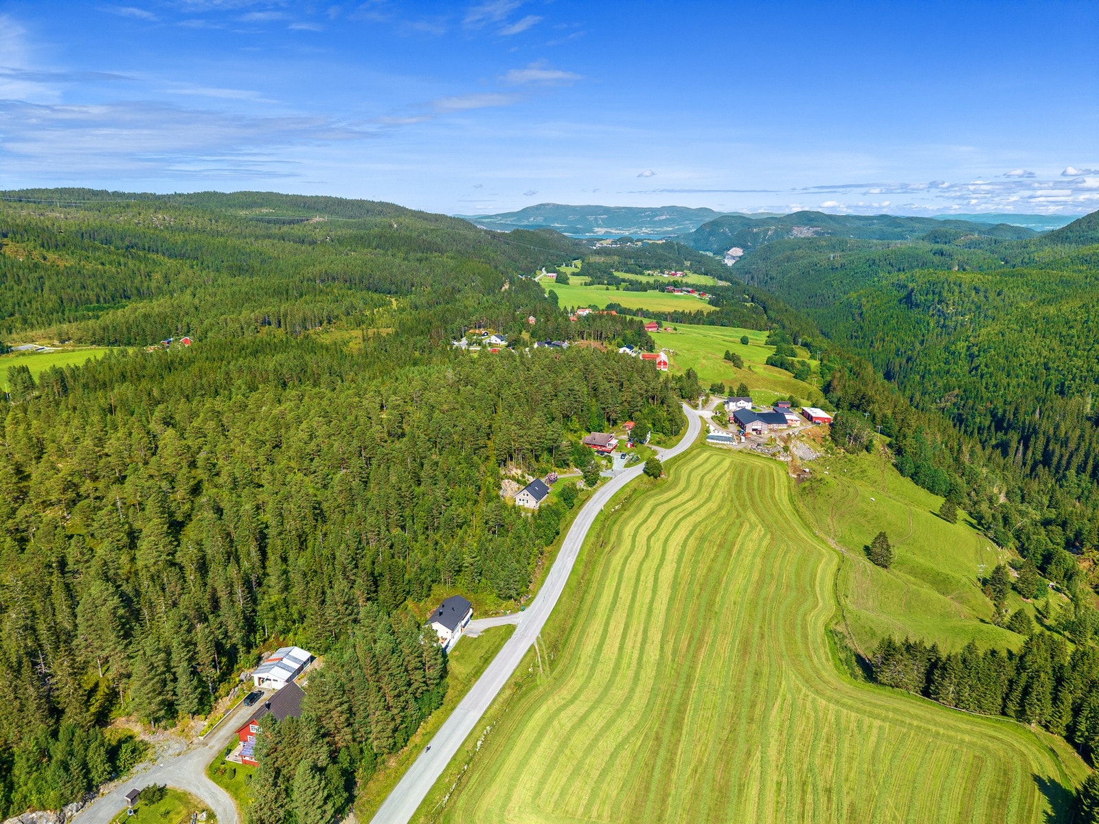 Velkommen på en trivelig visning! Galleribilde