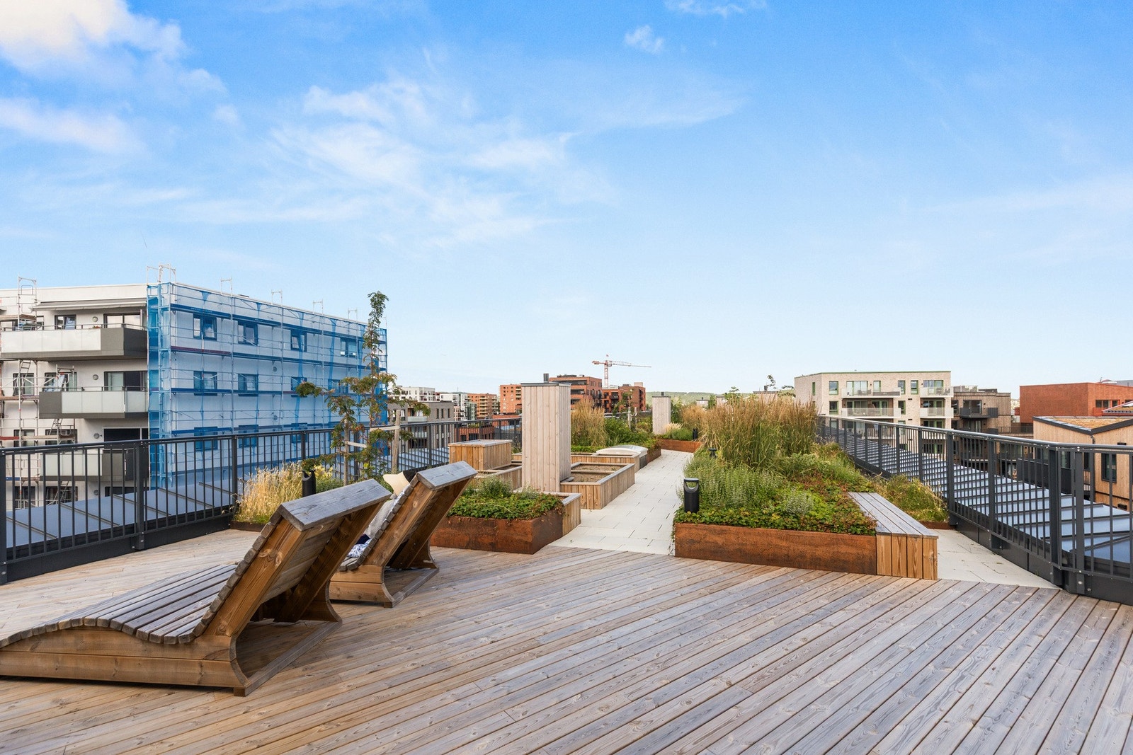 Felles takterrasse Galleribilde