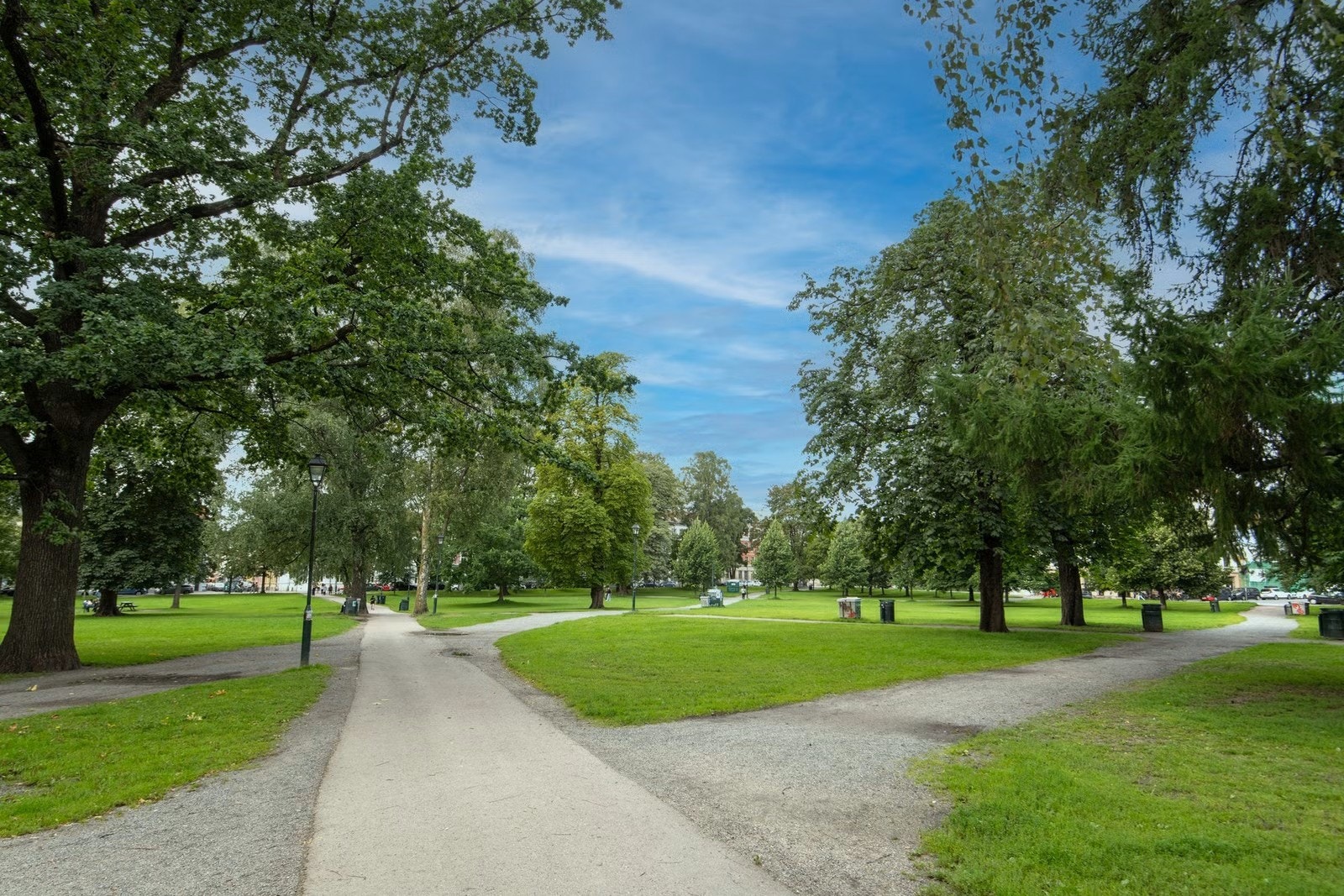 Nærområde - Sofienbergparken. Galleribilde