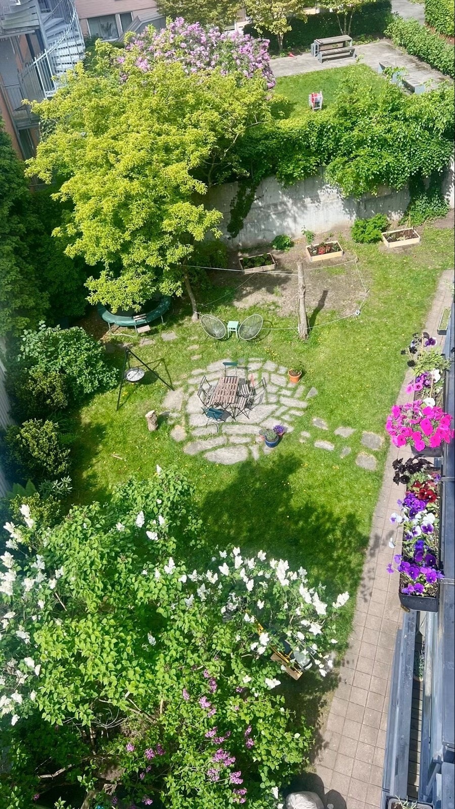 Flott opparbeidet og skjermet bakgård med tilgang til nyoppført sykkelstativ, hobbyrom og fellesvaskeri. Galleribilde