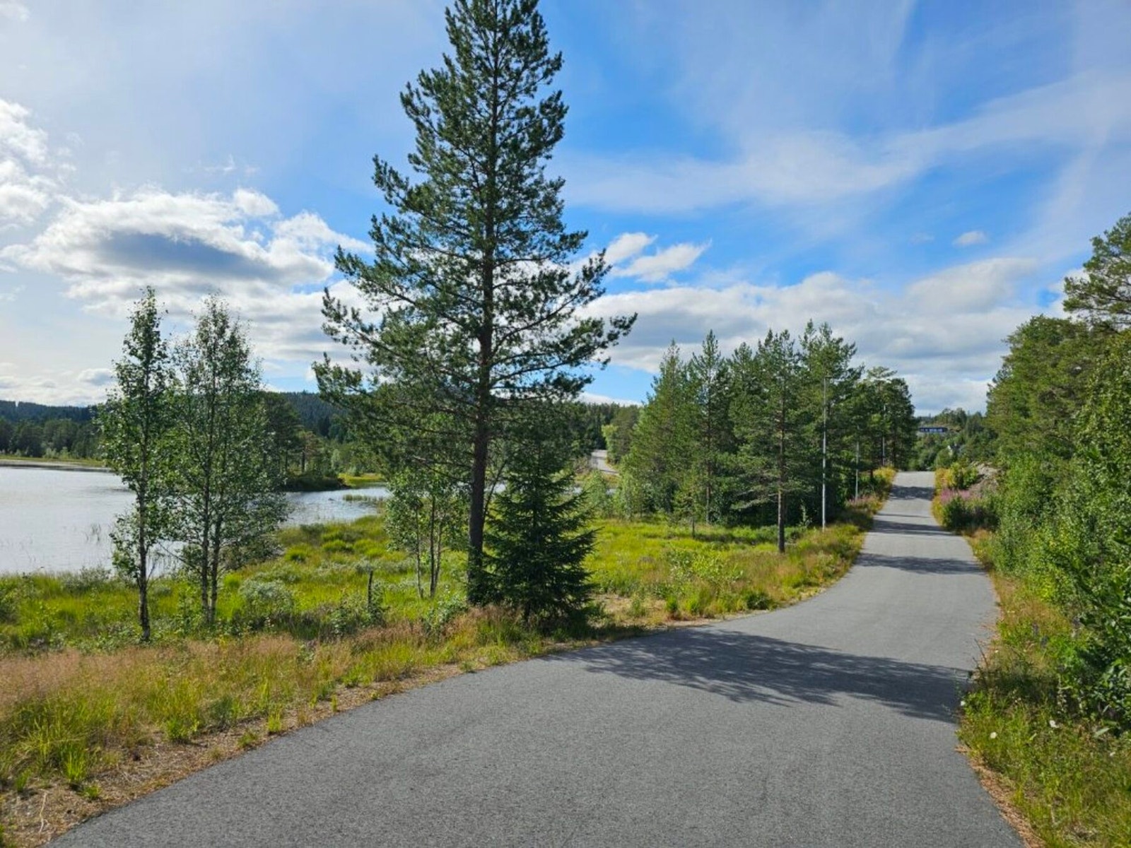 Rulleski-/rulleskøytebane ved badestranda. Galleribilde