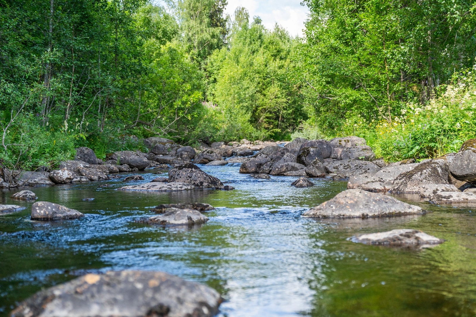 Tomtegrensen går midt i Ofteåi (elva). Galleribilde