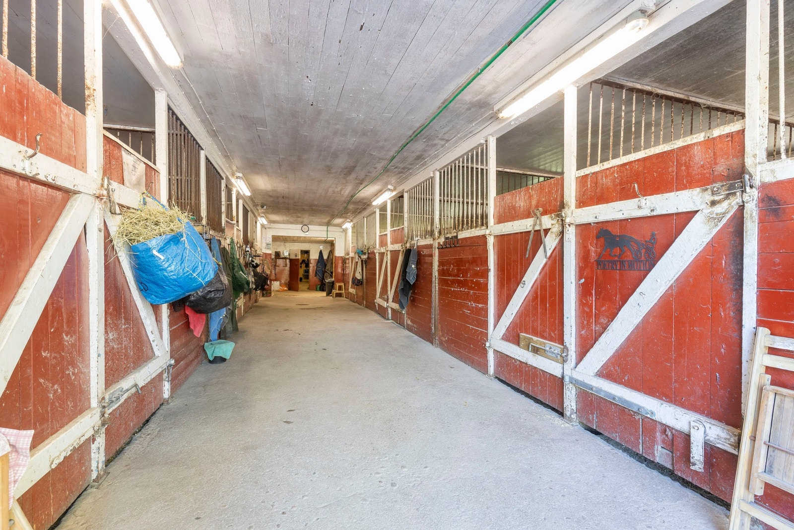 Stallen har totalt 16 hestebokser Galleribilde