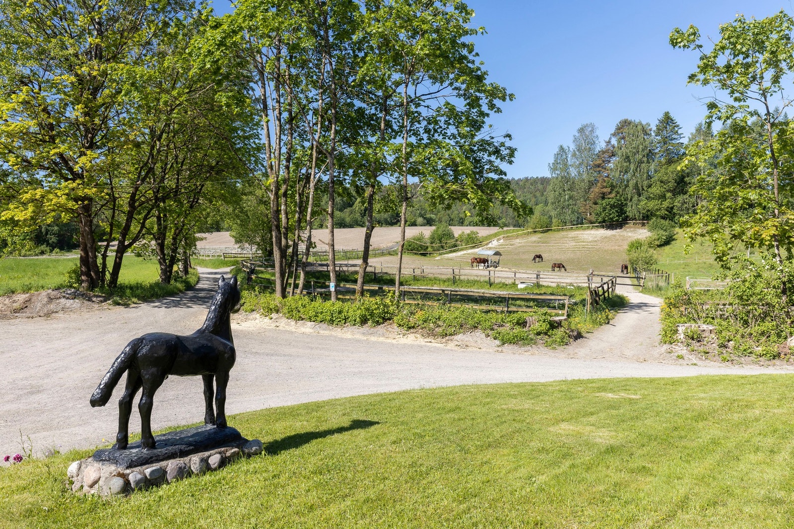 Velkommen til visning! Galleribilde