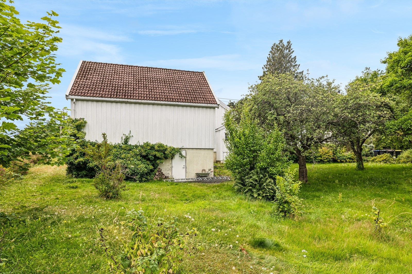 Hagen er stor og frodig med flere frukttrær. Galleribilde