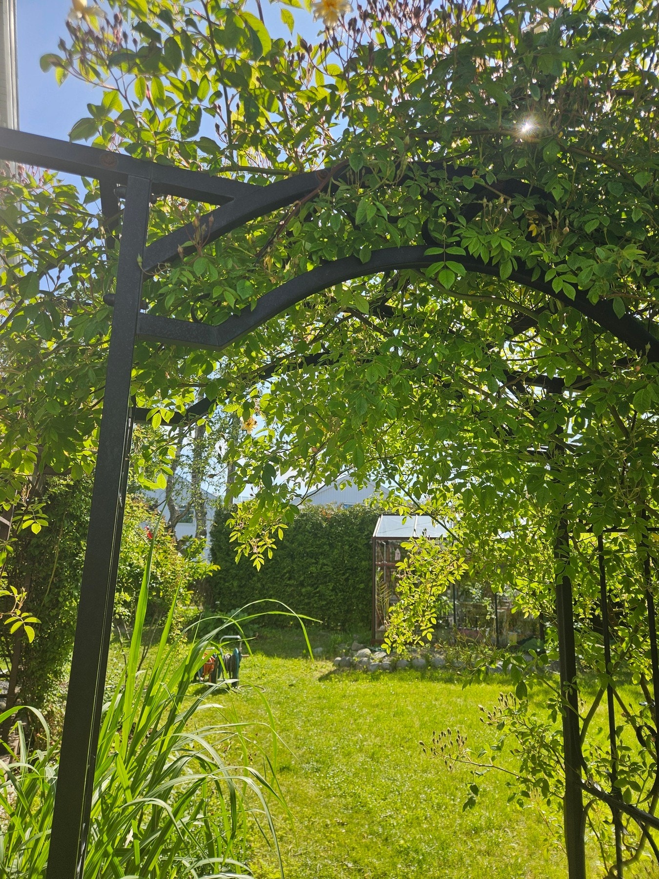 Frodig beplantning og rikelig med boltreplass for store og små Galleribilde