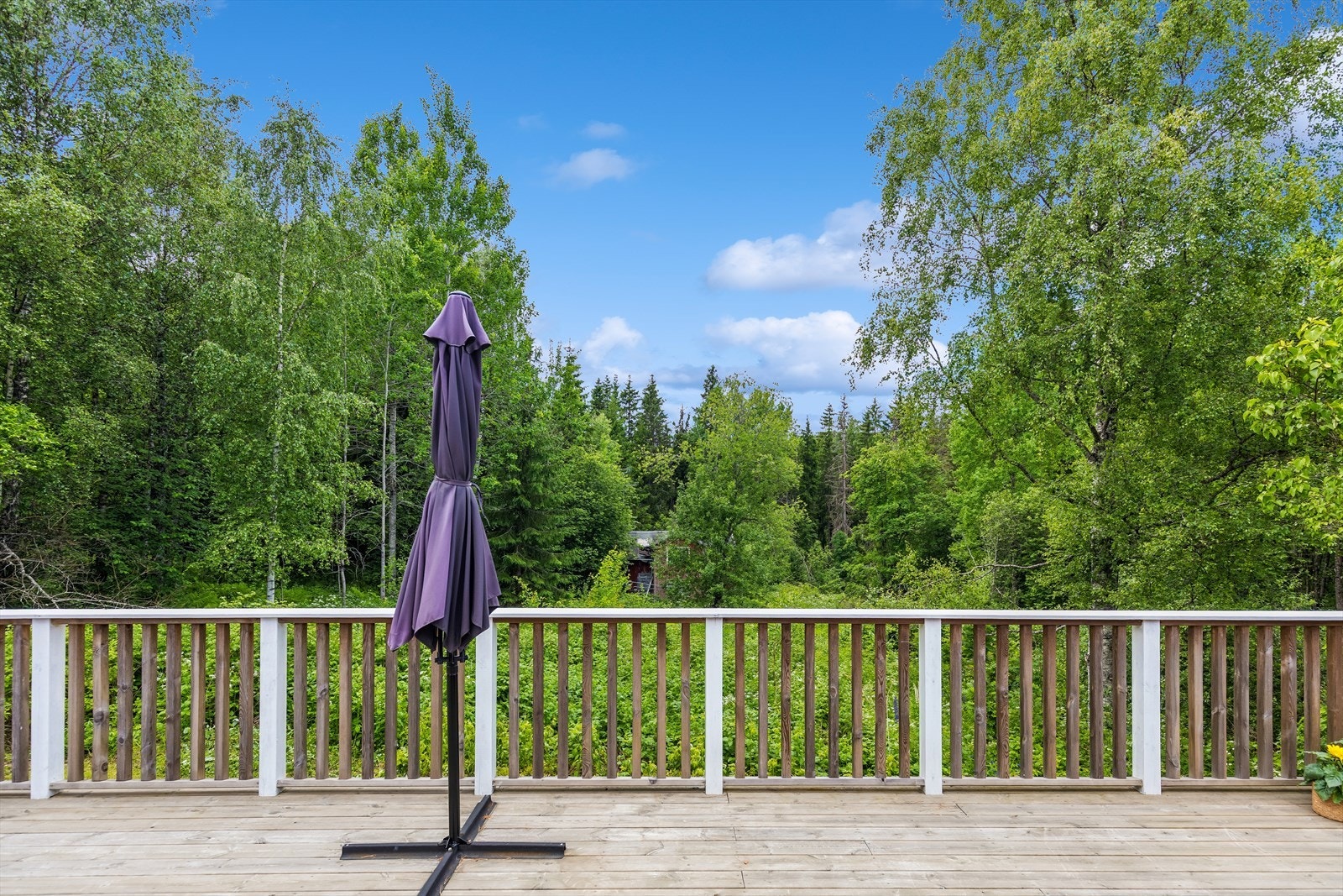 Deler av tomta består av skog/naturtomt. Her skimtes det kondemnable bygget på gnr 54/bnr 15, som følger med. Galleribilde