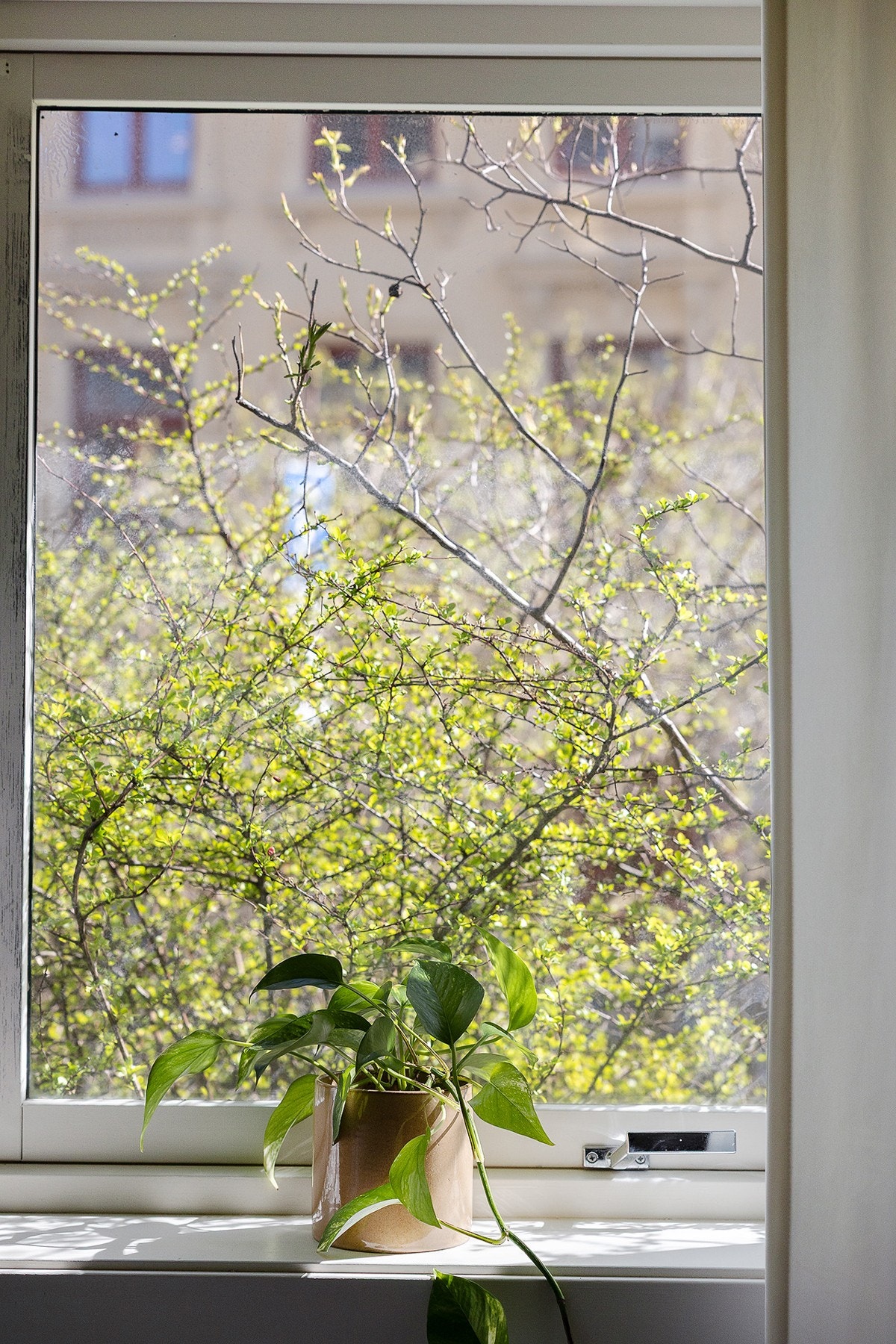 Detalj stue Galleribilde