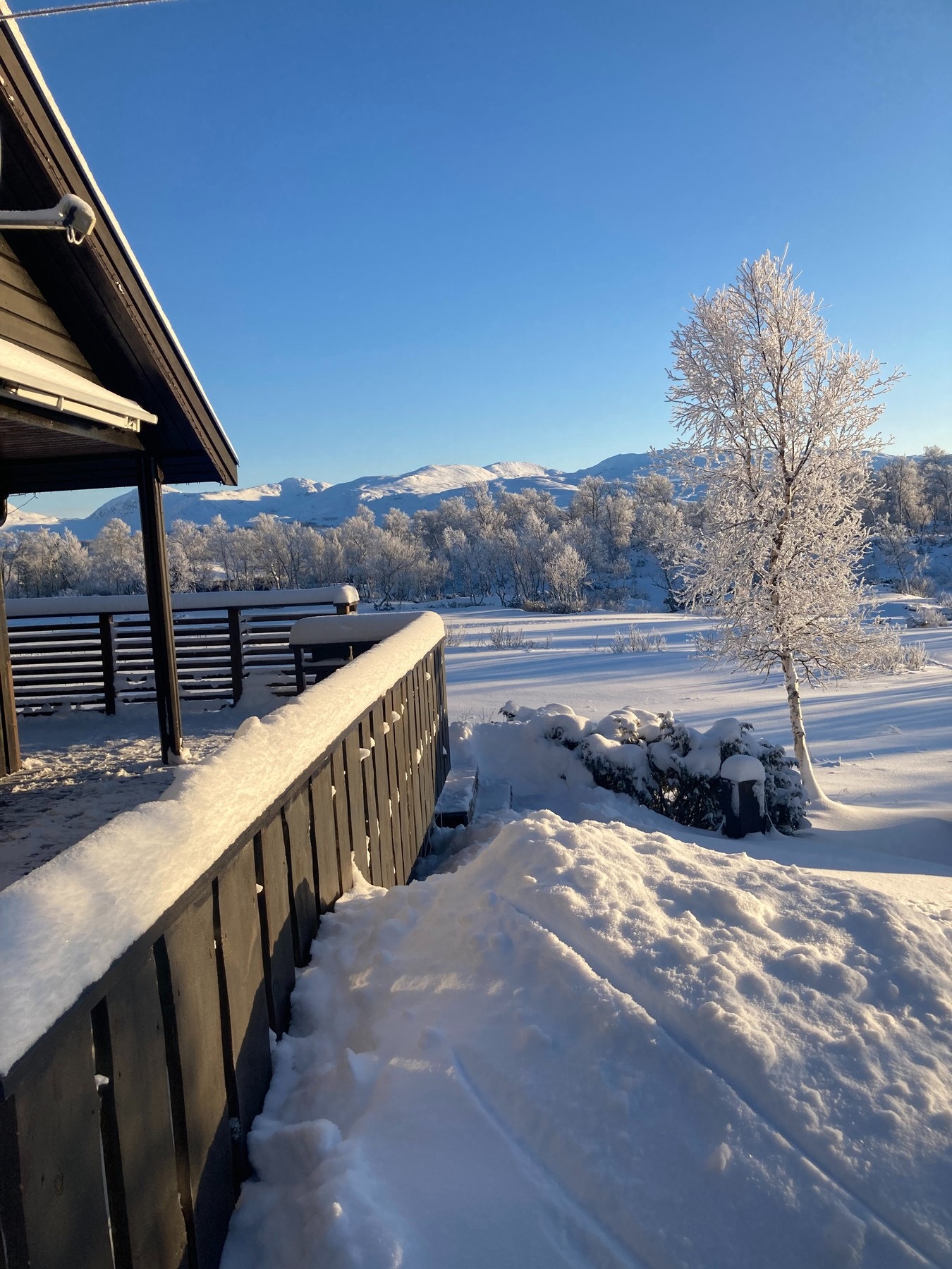 Selgers private bilde. Galleribilde