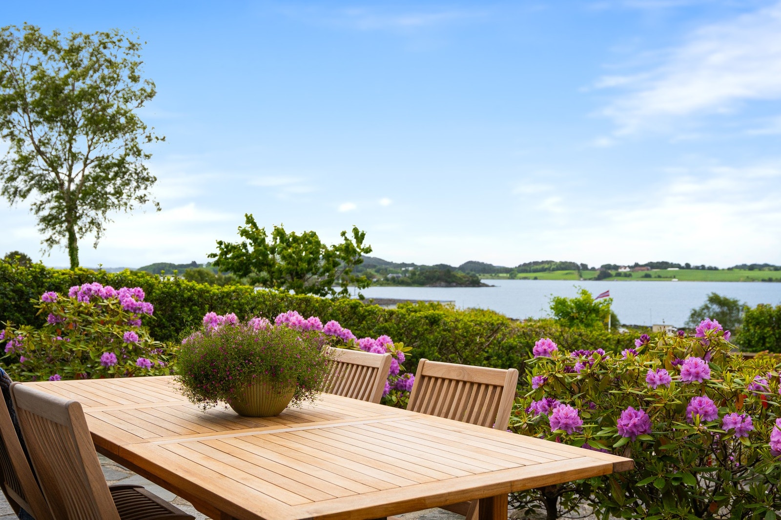 Fra terrassen har du fullt skue utover hagen og Hafrsfjord. Galleribilde